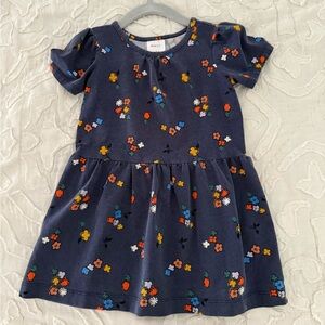 Hanna Andersson 2t dress